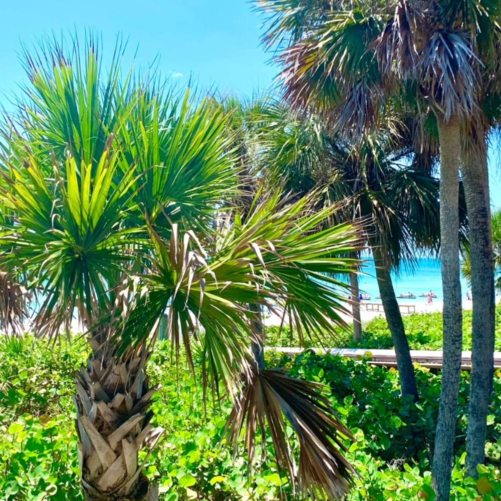 Meet your Posher, Mmary kate